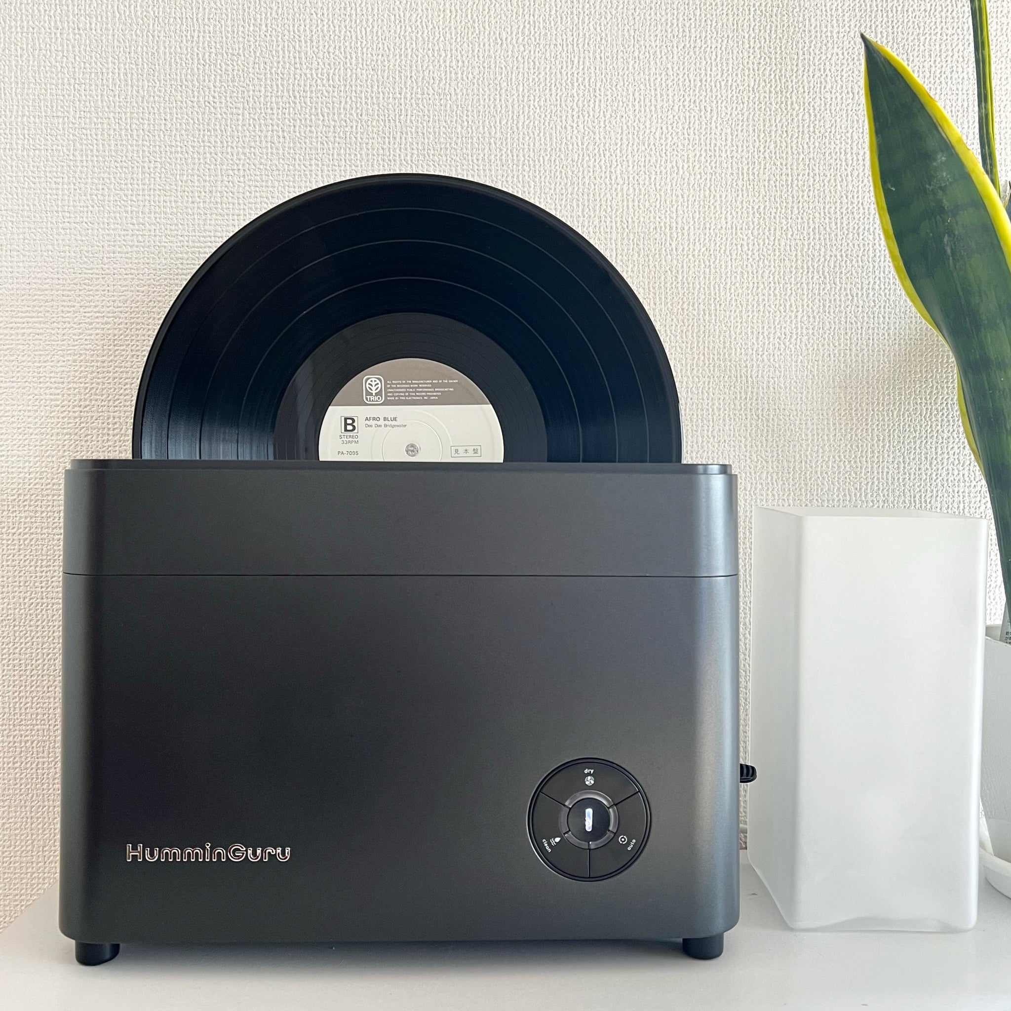 Ultrasonic Vinyl Record Cleaner