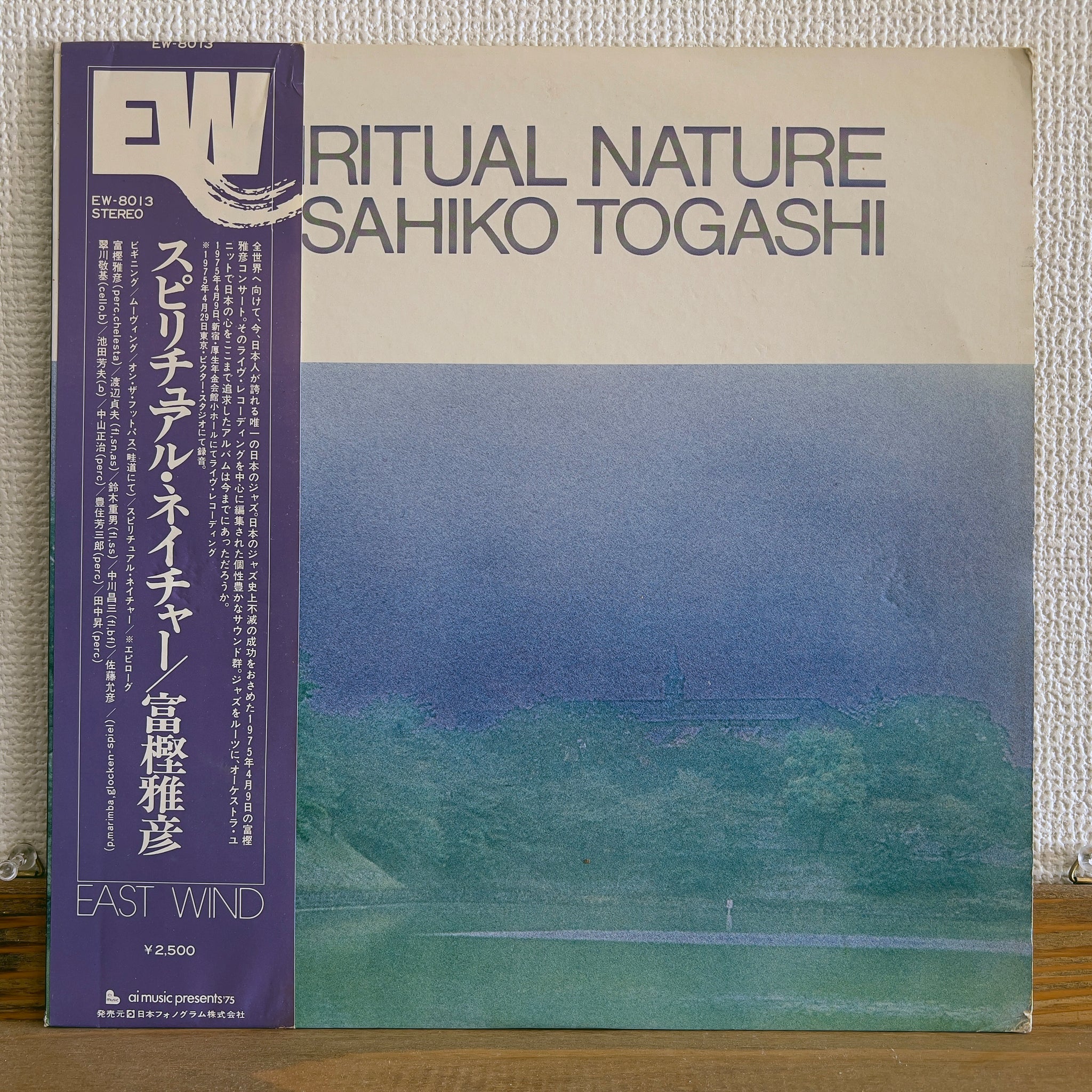 Masahiko Togashi - Spiritual Nature