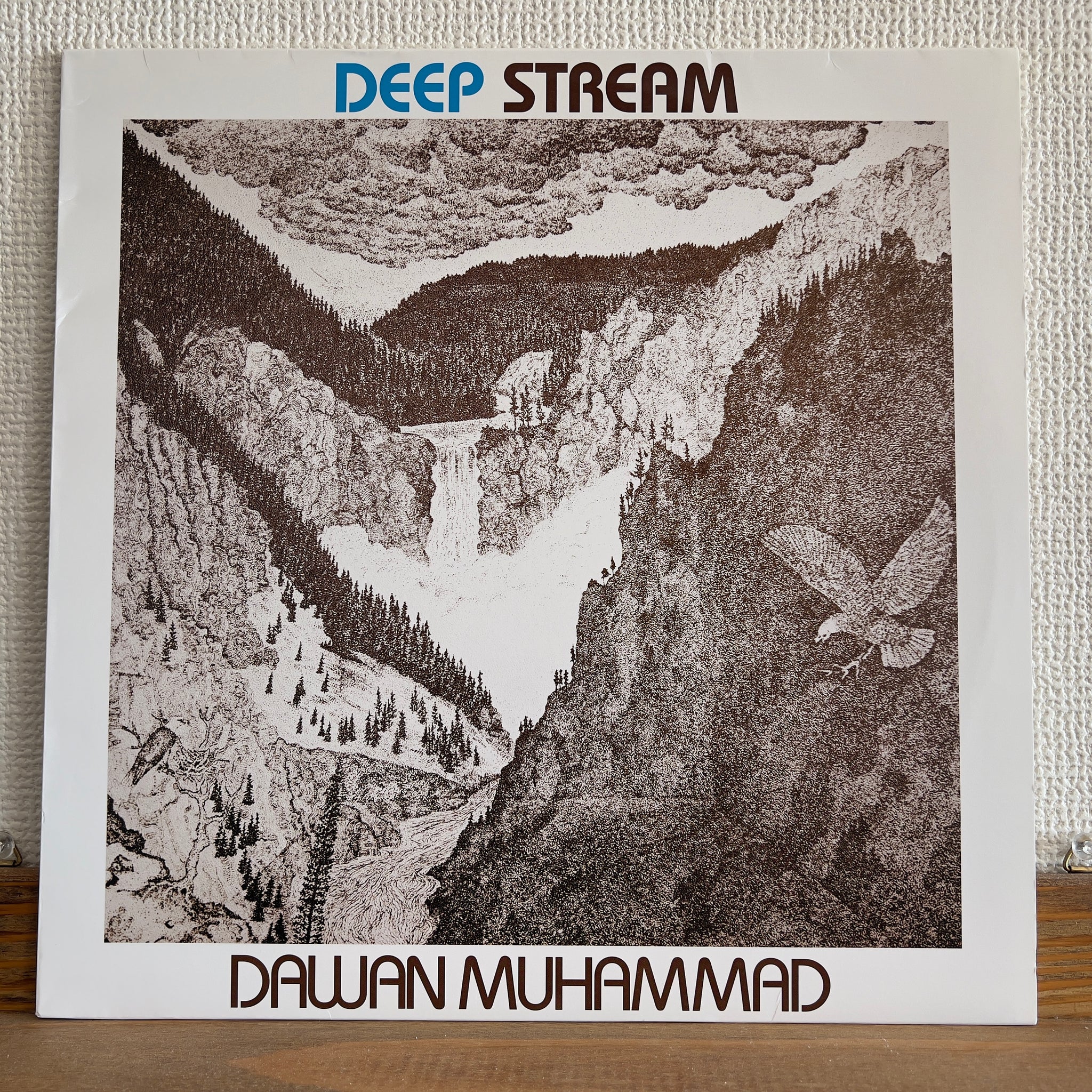 Dawan Muhammad - Deep Stream