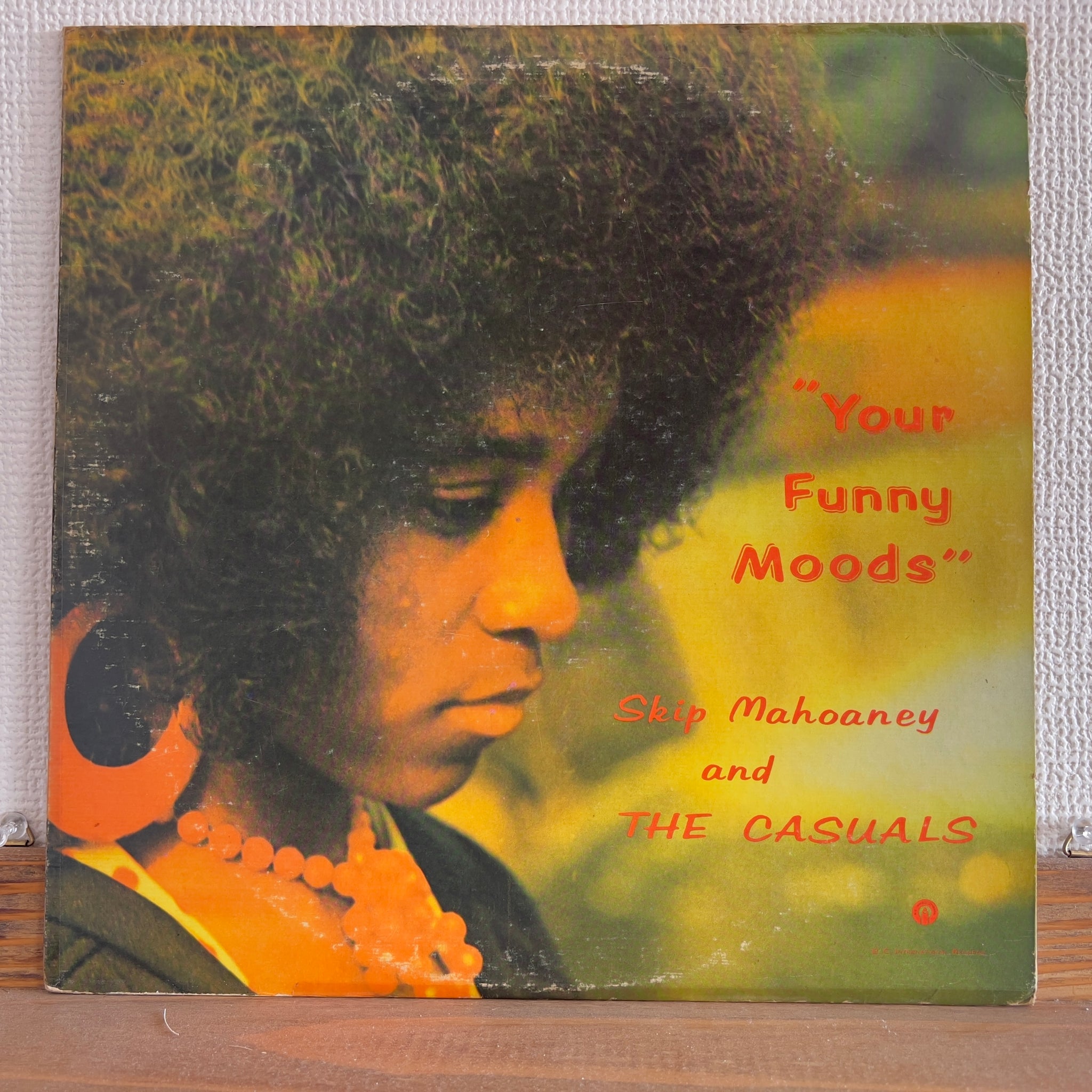 Skip Mahoaney And The Casuals - Your Funny Moods