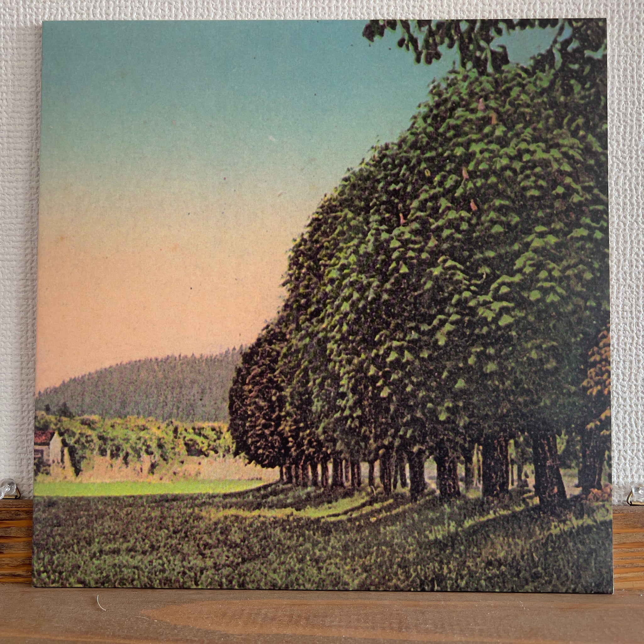 Andrew Chalk - Time Of Hayfield