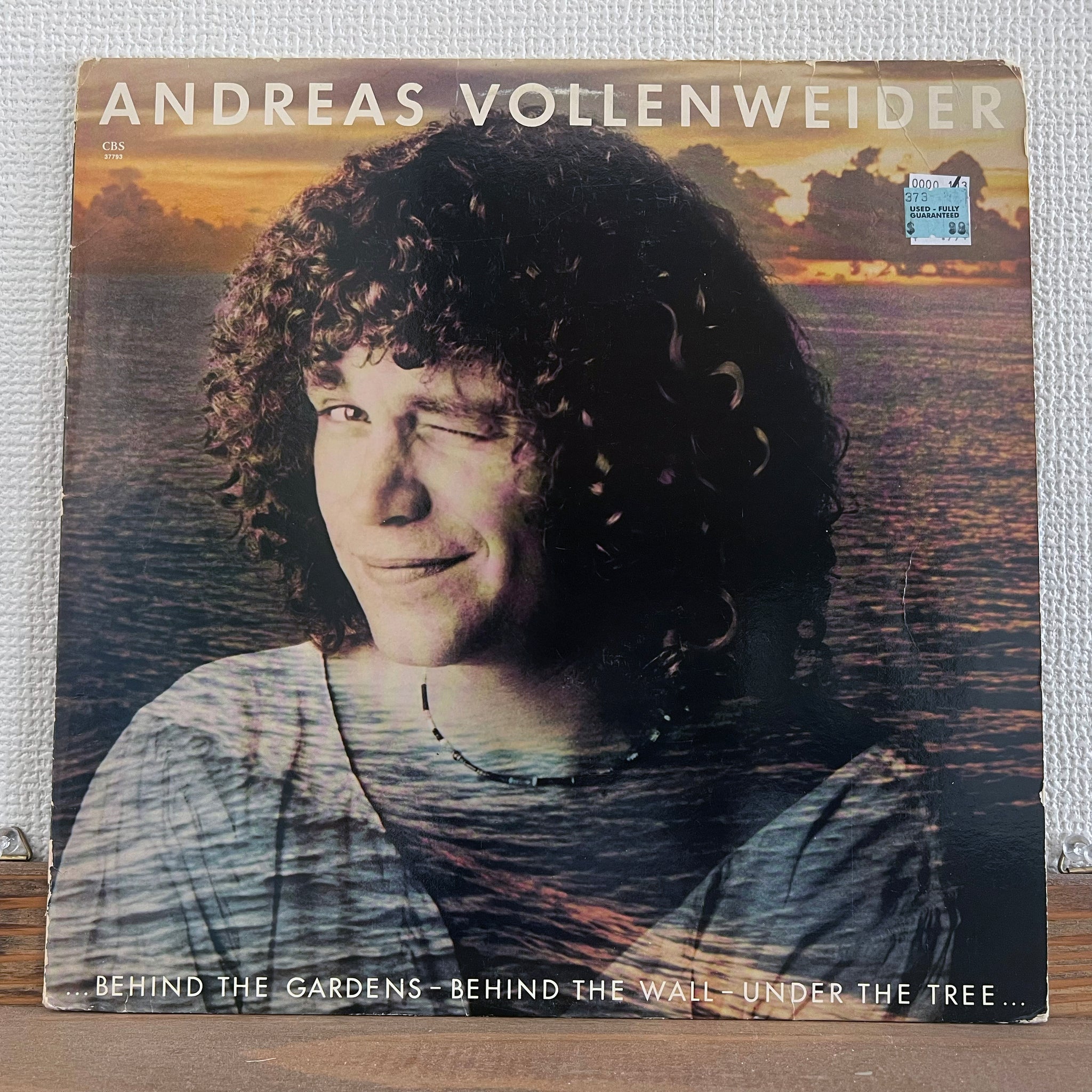 Andreas Vollenweider - ... Behind The Gardens - Behind The Wall - Under The Tree ...