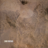 Zombi - Digitalis (Static Caravan, 2006) 12" vinyl record